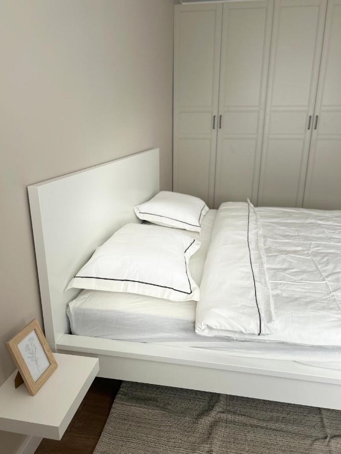 Skandi Appartments In Saldus City Center Экстерьер фото
